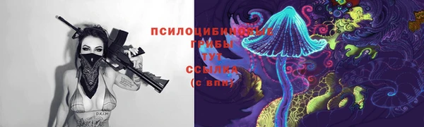 дживик Лабытнанги