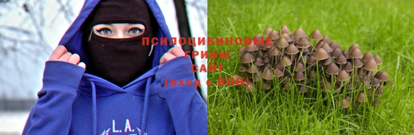 а пвп мука Ладушкин