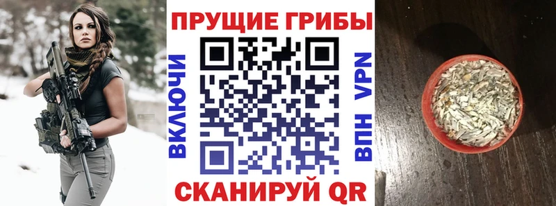 Псилоцибиновые грибы GOLDEN TEACHER  Артём 